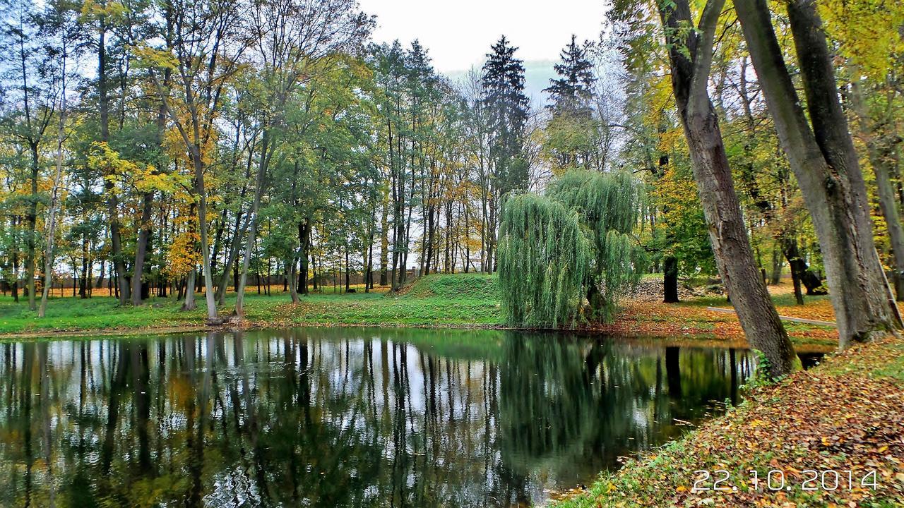 Palac Kobylin Екстериор снимка